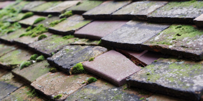 Great Linford roof repair costs